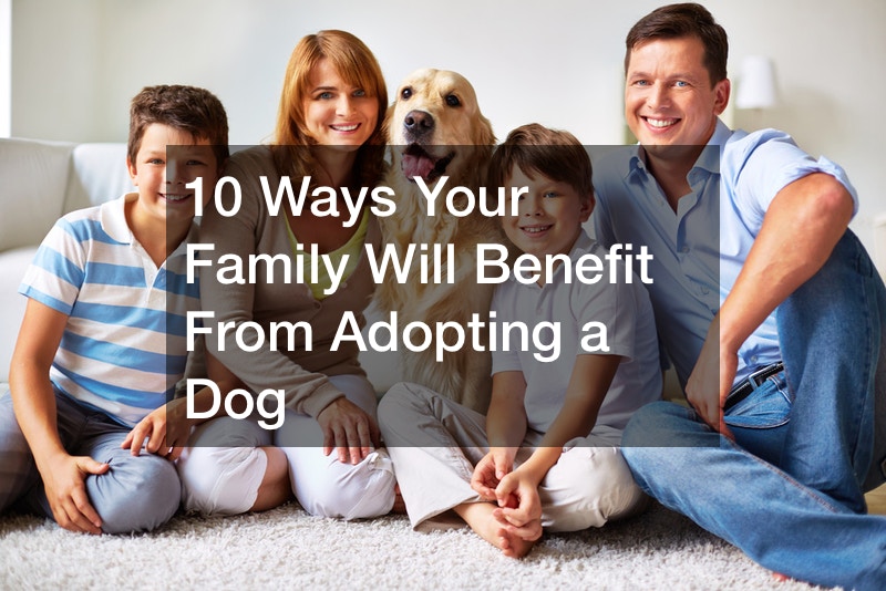 10 Ways Your Family Will Benefit From Adopting a Dog