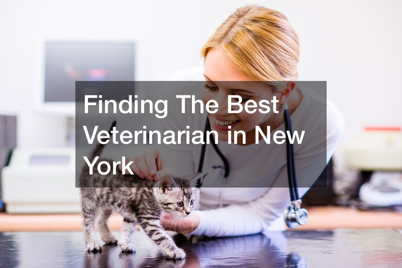 Finding The Best Veterinarian in New York