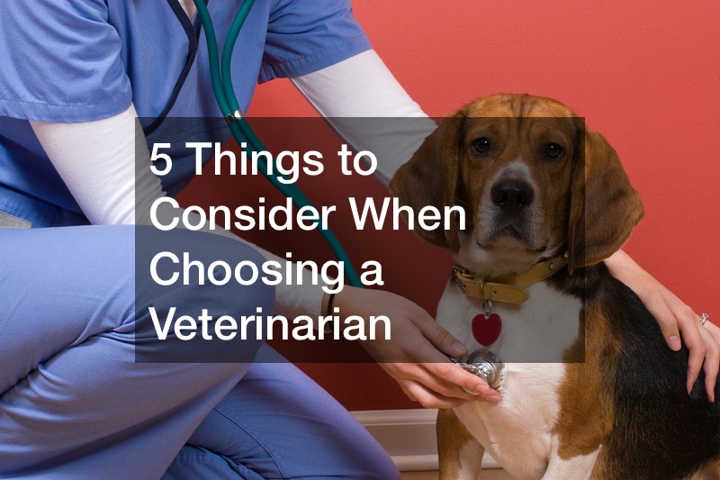 5 Things to Consider when Choosing a Veterinarian - My Veterinarian