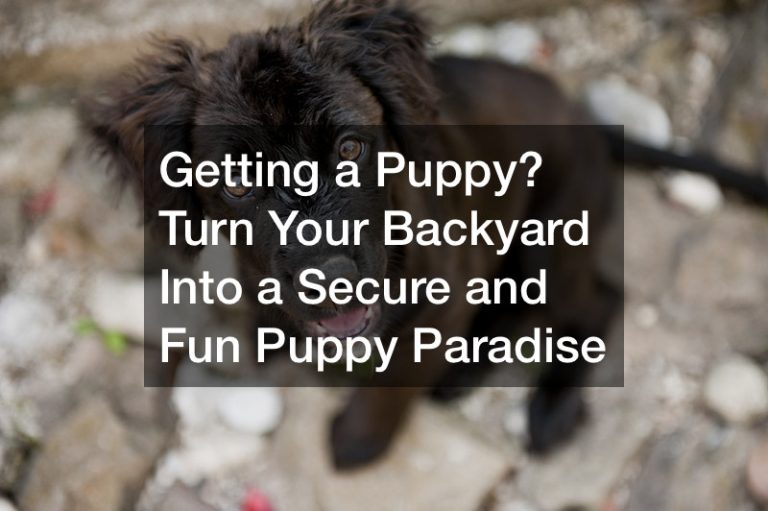 My Veterinarian Directory heep your pet healthy