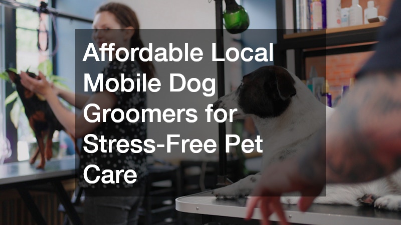 Affordable Local Mobile Dog Groomers for Stress-Free Pet Care