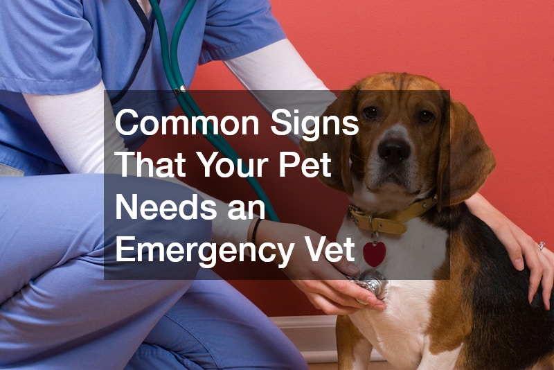 Common Signs That Your Pet Needs an Emergency Vet